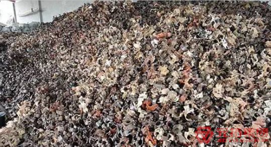 價(jià)格低廉的扣件、老舊的扣件一定不能用