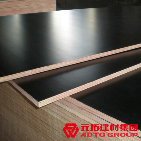 河北建筑木模板多少錢一張？河北木模板價格表？